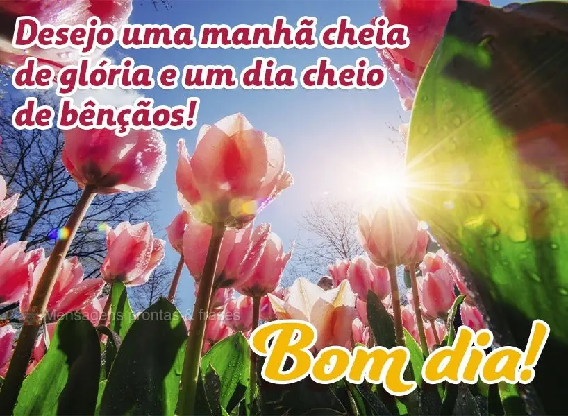 Desejo uma manhã cheia de glória e um dia cheio de bênçãos! Bom dia!