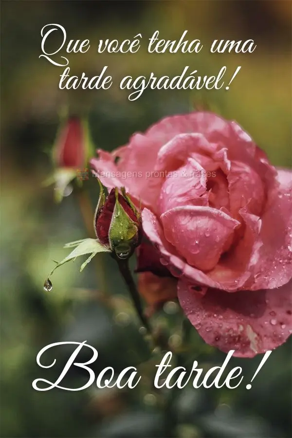 Желаю вам приятно провести этот день! Хорошего дня!