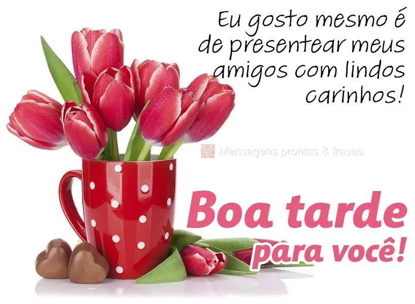 Eu gosto mesmo é de presentear meus amigos com lindos carinhos!  Boa tarde para você!