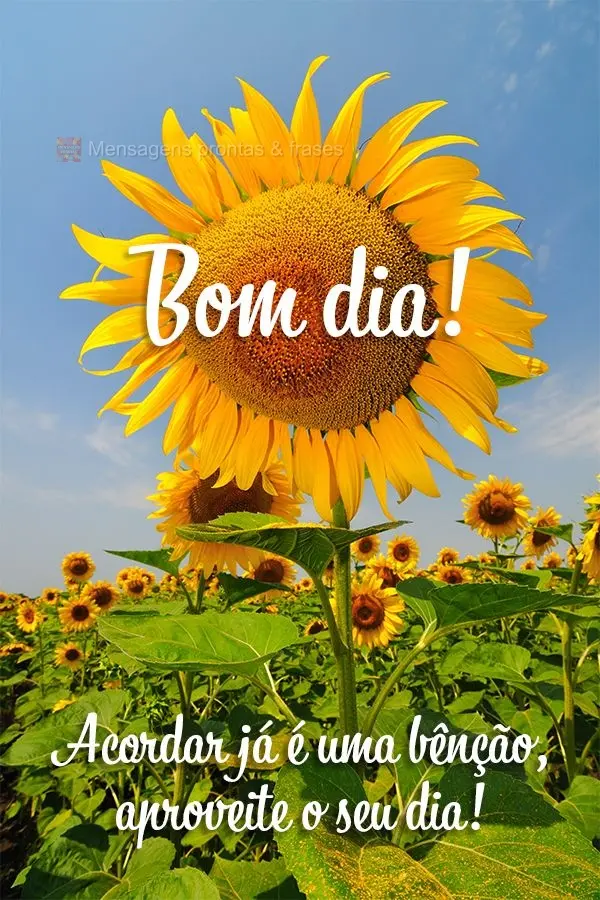 Acordar já é uma bênção, aproveite o seu dia! Bom dia!