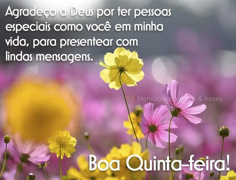 Agradeço a Deus por ter pessoas especiais como você em minha vida, para presentear com lindas mensagens. Boa Quinta-feira!