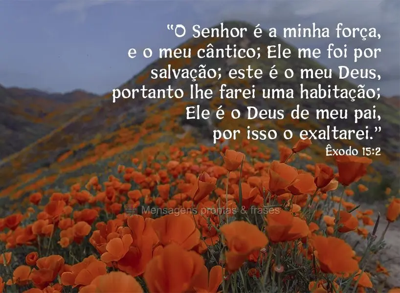 “O Senhor é a minha força e o meu cântico; Ele me foi por salvação; este é o meu Deus, portanto lhe farei uma habitação; Ele é o Deus de meu p...