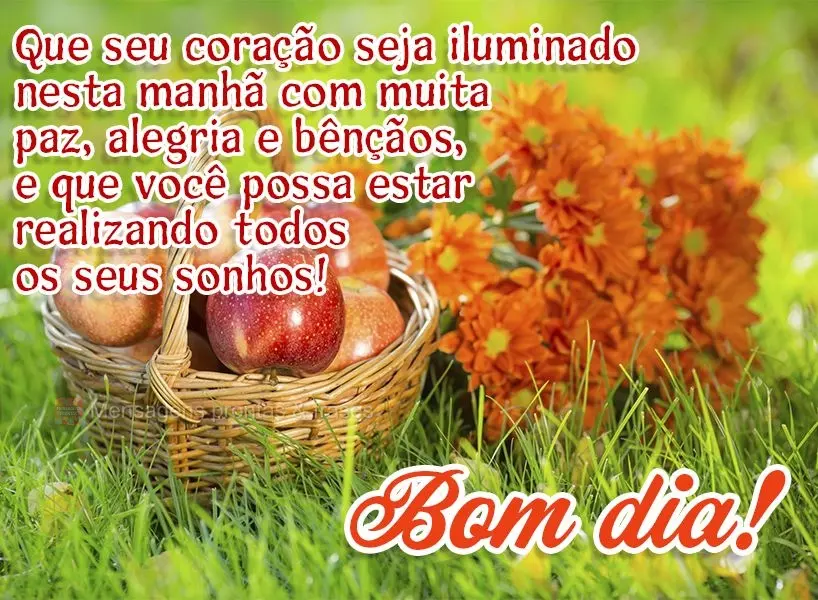 Que seu coração seja iluminado nesta manhã com muita paz, alegria e bênçãos. Que você possa realizar todos os seus sonhos! Bom dia!