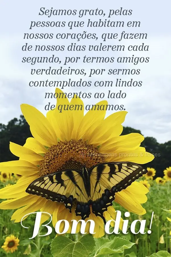 Sejamos gratos pelas pessoas que habitam em nossos corações, que fazem  nossos dias valerem cada segundo, por termos amigos verdadeiros, por sermos con...