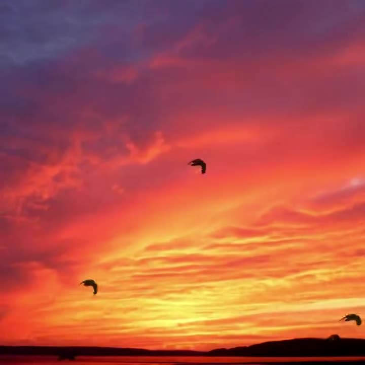 Bem-vindo, Agosto!
Que venha cheio de alegria, amor e realizações. 
Que seja repleto de bençãos e boas notícias. 
Que sejam dias felizes para mim...