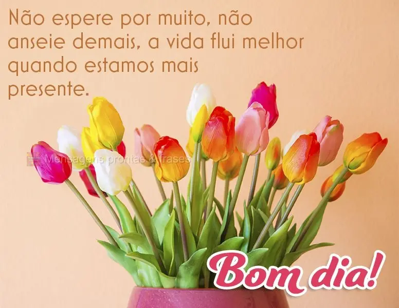 Não espere por muito, não anseie demais, a vida flui melhor quando estamos mais presentes. Bom dia!