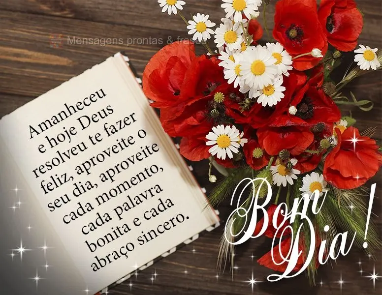 Amanheceu e hoje Deus resolveu te fazer feliz. Aproveite o seu dia, aproveite cada momento, cada palavra bonita e cada abraço sincero.  Bom dia!