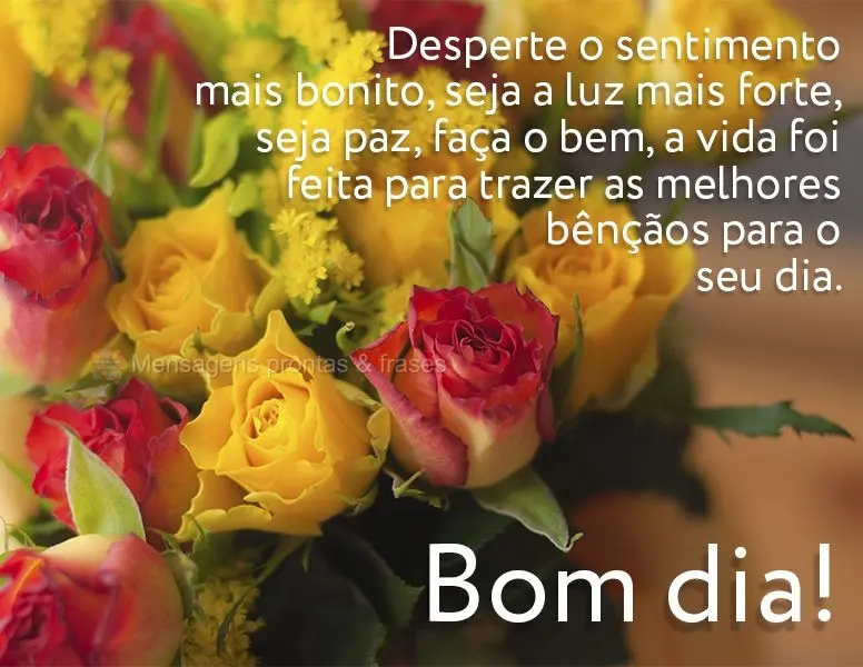 Desperte o sentimento mais bonito, seja a luz mais forte, seja paz, faça o bem. A vida foi feita para trazer as melhores bênçãos para o seu dia. Bom ...