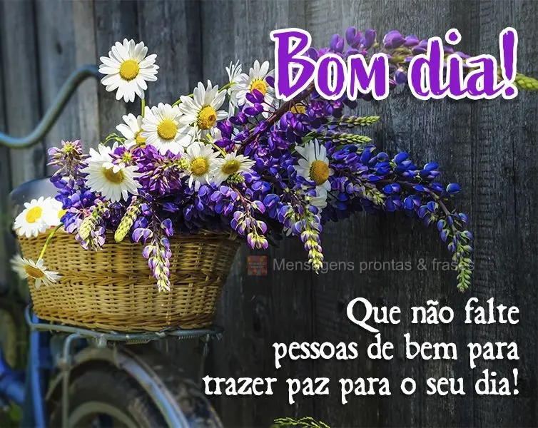 Que não falte pessoas de bem para trazer paz para o seu dia! Bom dia!