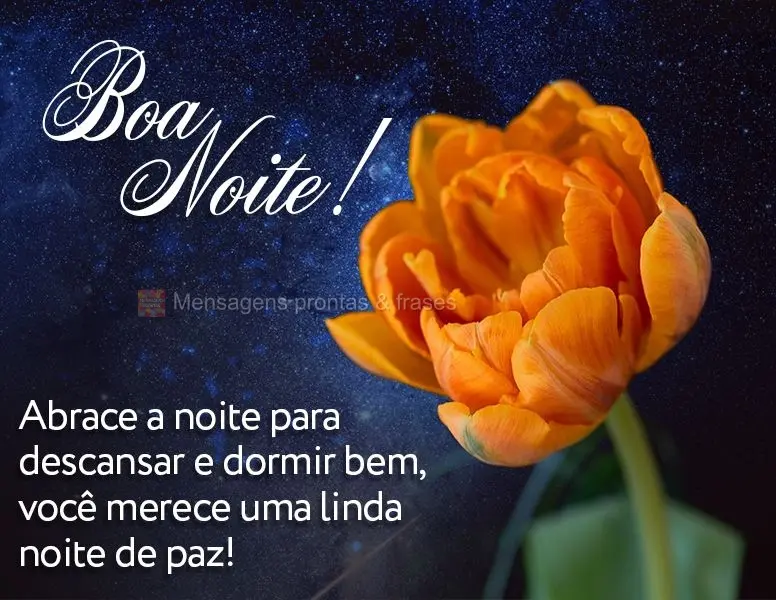 Abrace a noite para descansar e dormir bem, você merece uma linda noite de paz! Boa noite!