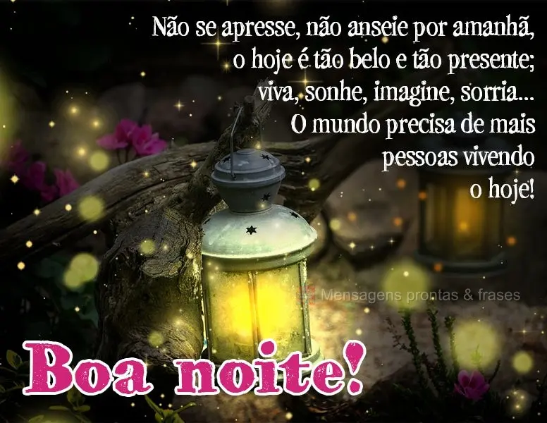 Não se apresse, não anseie por amanhã. O hoje é tão belo e tão presente; viva, sonhe, imagine, sorria...O mundo precisa de mais pessoas vivendo o h...