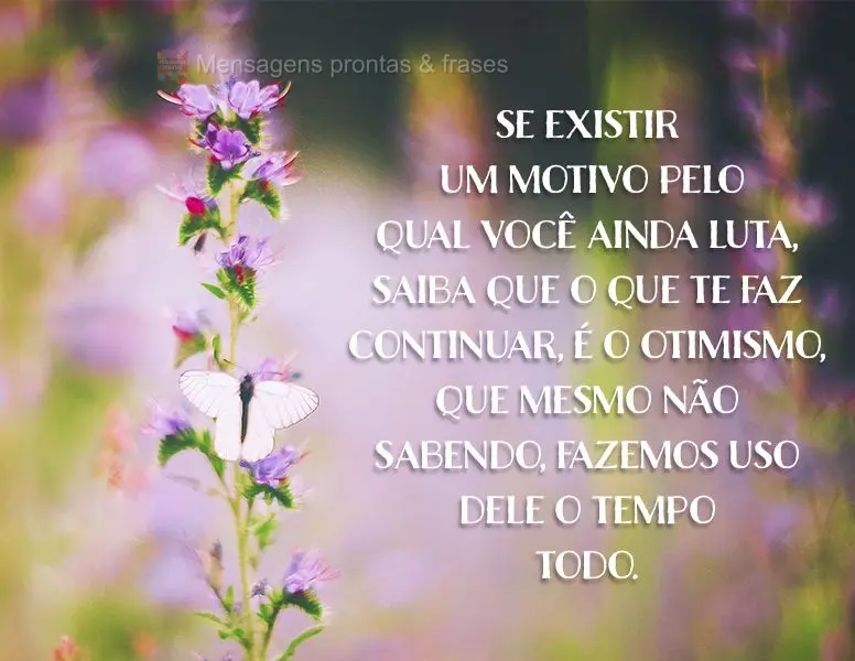 Se existir um motivo pelo qual você ainda luta, saiba que o que te faz continuar é o otimismo, que mesmo não sabendo, fazemos uso dele o tempo todo....