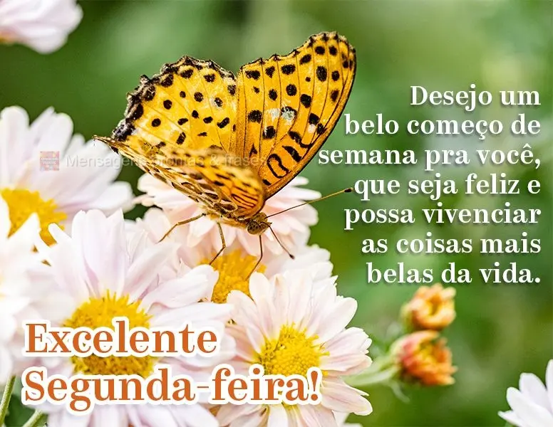 Desejo um belo começo de semana pra você, que seja feliz e possa vivenciar as coisas mais belas da vida. Excelente Segunda-feira!