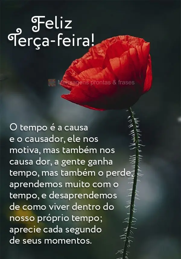 O tempo é a causa e o causador, ele nos motiva, mas também nos causa dor. A gente ganha tempo, mas também o perde, aprendemos muito com o tempo e desa...