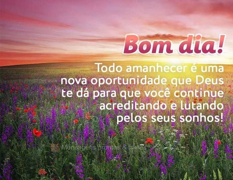 Todo amanhecer é uma nova oportunidade que Deus te dá para que você continue acreditando e lutando pelos seus sonhos! Bom dia!