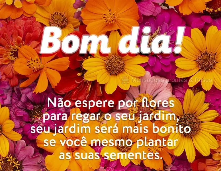 Não espere por flores para regar o seu jardim, seu jardim será mais bonito se você mesmo plantar as suas sementes. Bom dia!