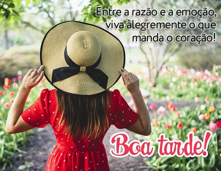 Когда не можете выбрать между умом и сердцем, выбирайте последнее! Хорошего дня!