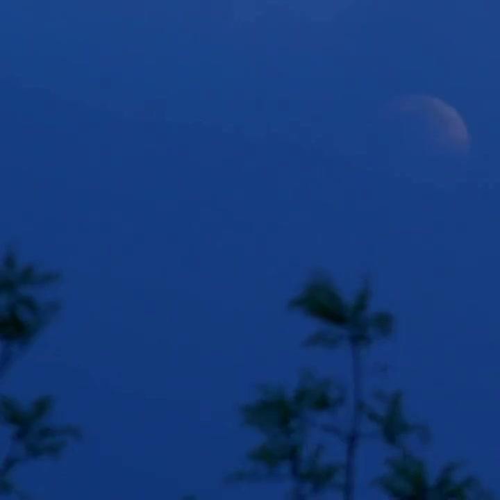 Nesta noite coloco você em minhas orações, pessoa especial! 
Que Deus te dê uma noite tranquila, com ótimos sonhos e um amanhã abençoado e melhor...