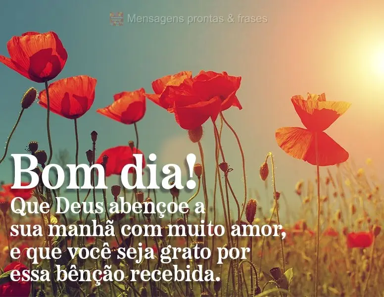 Que Deus abençoe a sua manhã com muito amor e que você seja grato por essa bênção recebida. Bom dia!