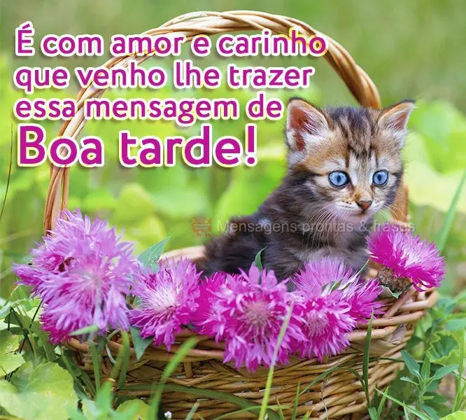 É com amor e carinho que venho lhe trazer essa mensagem de Boa tarde!