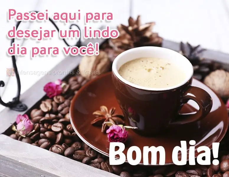 Passei aqui para desejar um lindo dia para você! Bom dia!