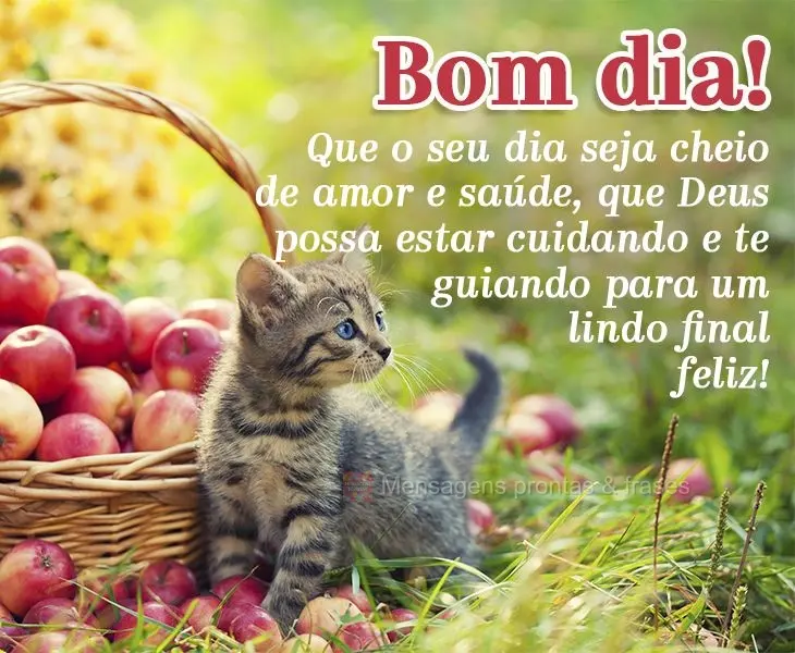 Que o seu dia seja cheio de amor e saúde, que Deus cuide e te guie para um lindo final feliz! Bom dia!