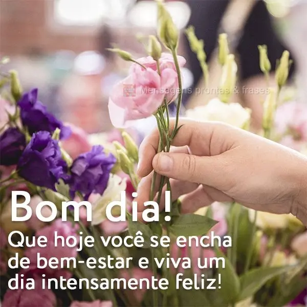 Que hoje você se encha de bem-estar e viva um dia intensamente feliz! Bom dia!