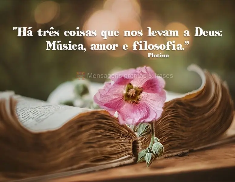 "Há três coisas que nos levam a Deus: Música, amor e filosofia.”  Plotino