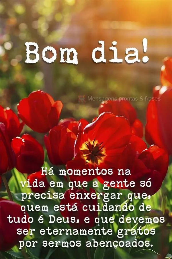 Há momentos na vida em que a gente só precisa enxergar que quem está cuidando de tudo é Deus, e que devemos ser eternamente gratos por sermos abenço...