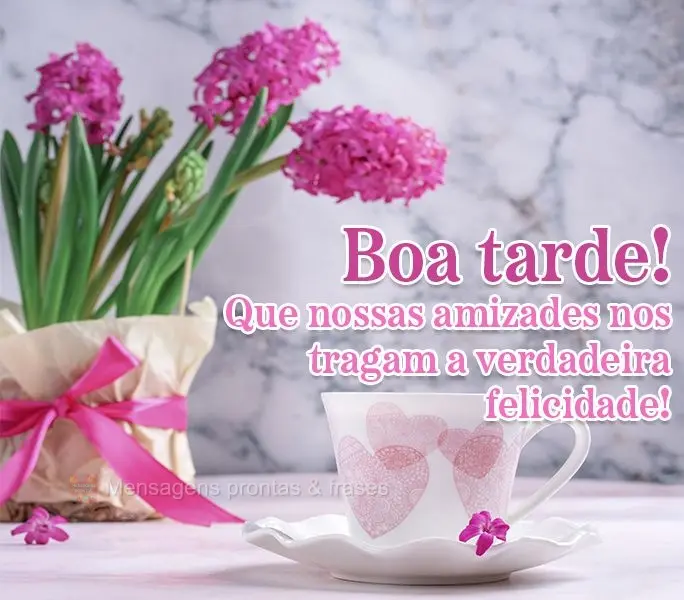 Que nossas amizades nos tragam a verdadeira felicidade! Boa tarde!