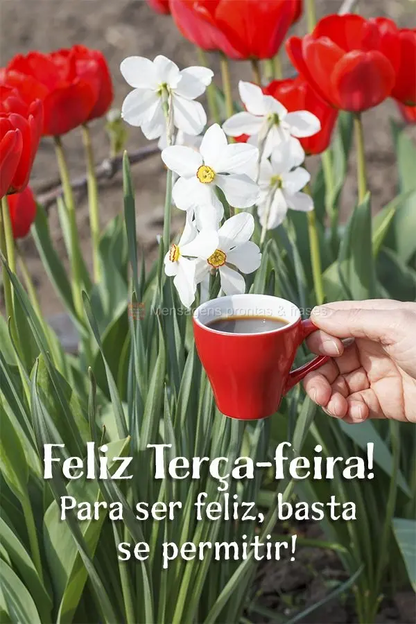 Para ser feliz, basta se permitir! Feliz Terça-feira!