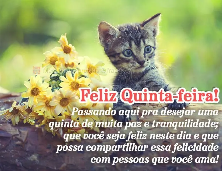 Passando aqui pra desejar uma quinta de muita paz e tranquilidade; que você seja feliz neste dia e que possa compartilhar essa felicidade com pessoas qu...