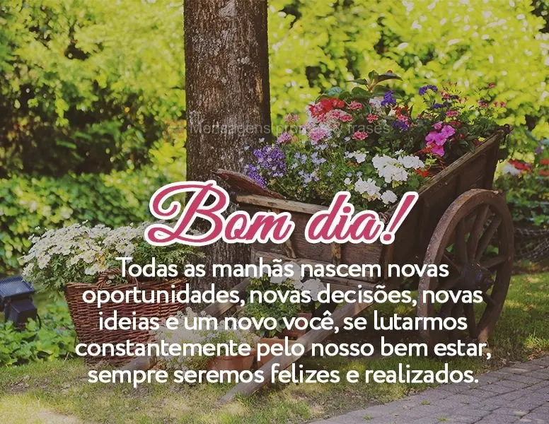 Todas as manhãs nascem novas oportunidades, novas decisões, novas ideias e um novo você, se lutarmos constantemente pelo nosso bem estar, sempre serem...