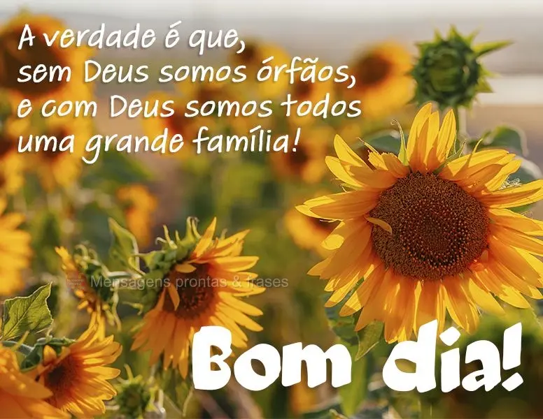 A verdade é que sem Deus somos órfãos e com Deus somos todos uma grande família! Bom dia!