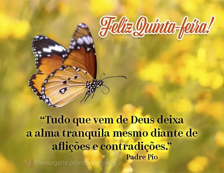 “Tudo que vem de Deus deixa a alma tranquila mesmo diante de aflições e contradições.” Feliz Quinta-feira! Padre Pio