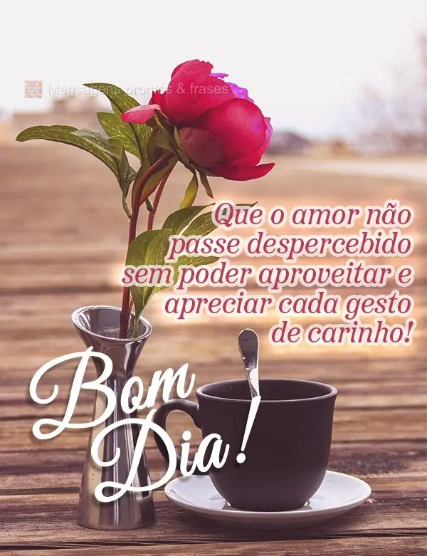 Que o amor não passe despercebido sem poder aproveitar e apreciar cada gesto de carinho! Bom dia!