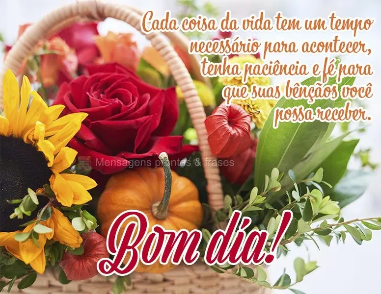 Cada coisa da vida tem um tempo necessário para acontecer, tenha paciência e fé para que suas bênçãos você possa receber. Bom dia!