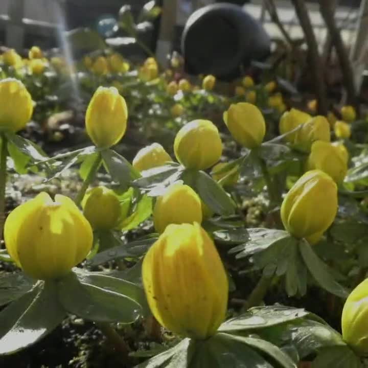 Vem Outubro, 
Traga em seus dias muita alegria, muito amor e muitas realizações.
Carregue de bençãos e felicidades a vida de todos nós. 
Traga o ...