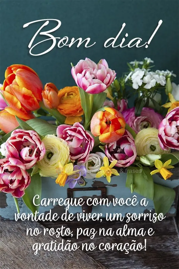 Carregue com você a vontade de viver, um sorriso no rosto, paz na alma e gratidão no coração! Bom dia!