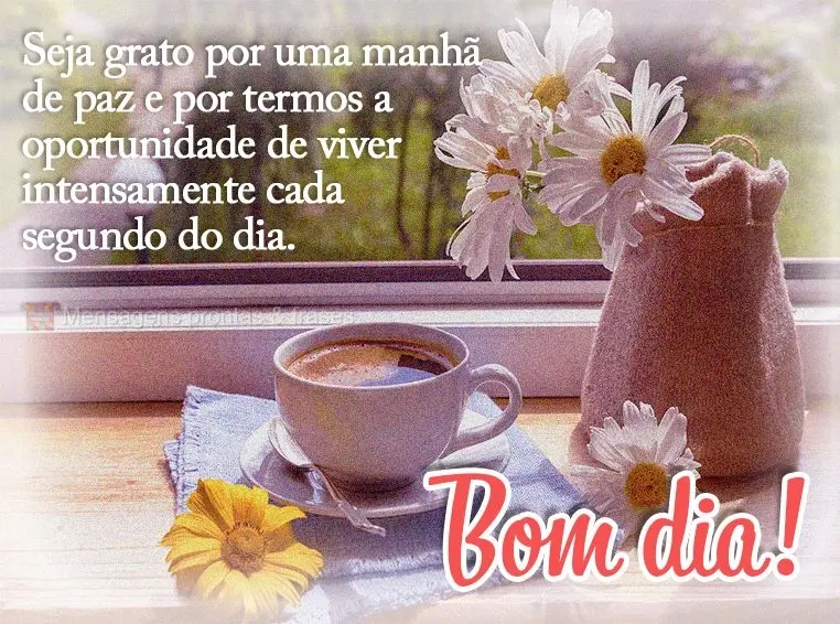 Seja grato por uma manhã de paz e por termos a oportunidade de viver intensamente cada segundo do dia. Bom dia!