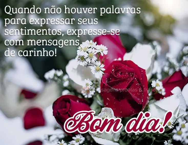 Quando não houver palavras para expressar seus sentimentos, expresse-se com mensagens de carinho! Bom dia!