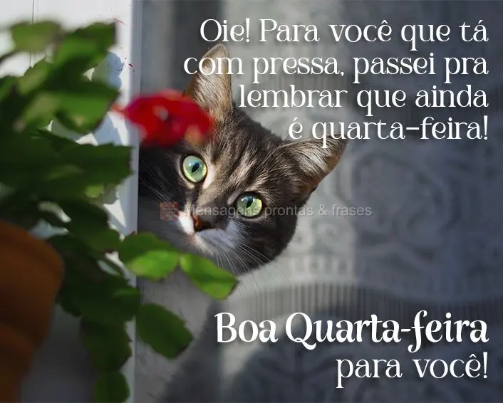 Oie! Para você que tá com pressa, passei pra lembrar que ainda é quarta-feira!  Boa Quarta-feira para você!