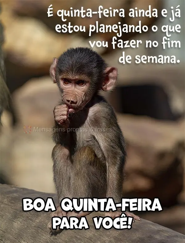 É quinta-feira ainda e já estou planejando o que vou fazer no fim de semana.  Boa quinta-feira para você!