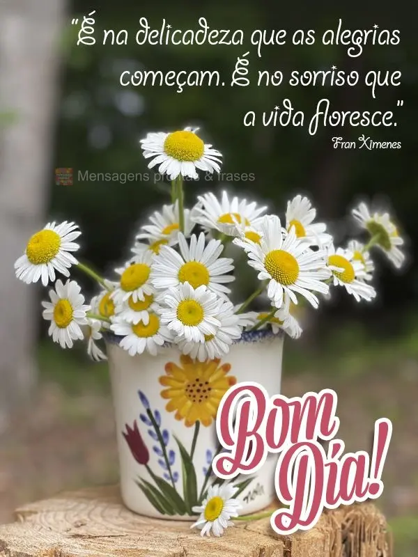 “É na delicadeza que as alegrias começam. É no sorriso que a vida floresce.” Bom dia! Fran Ximenes