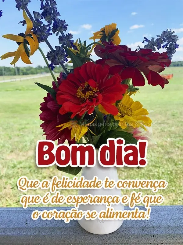 Que a felicidade te convença que é de esperança e fé que o coração se alimenta! Bom dia!