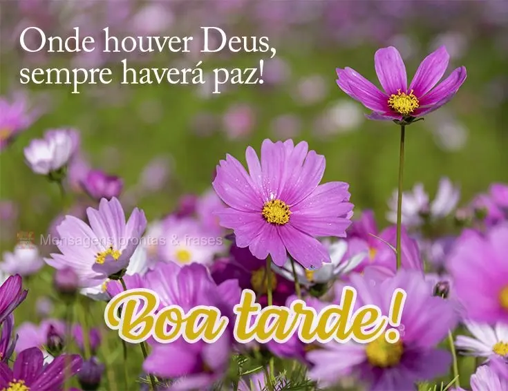 Onde houver Deus, sempre haverá paz! Boa tarde!