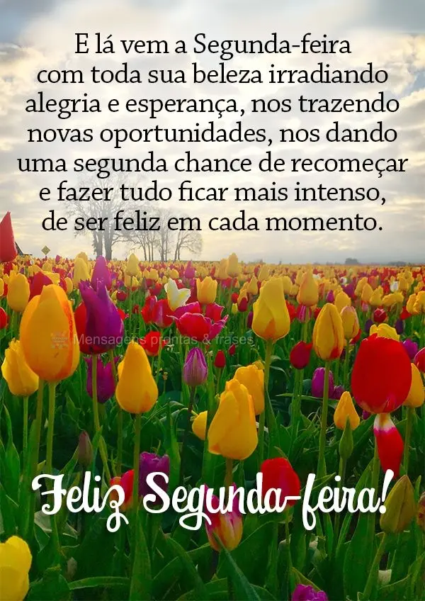 E lá vem a Segunda-feira com toda sua beleza irradiando alegria e esperança, nos trazendo novas oportunidades, nos dando uma segunda chance de recomeç...
