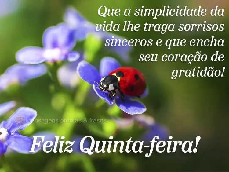 Que a simplicidade da vida lhe traga sorrisos sinceros e que encha seu coração de gratidão! Feliz Quinta-feira!