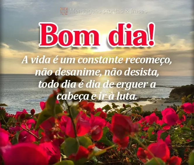 A vida é um constante recomeço. Não desanime, não desista, todo dia é dia de erguer a cabeça e ir à luta. Bom dia!