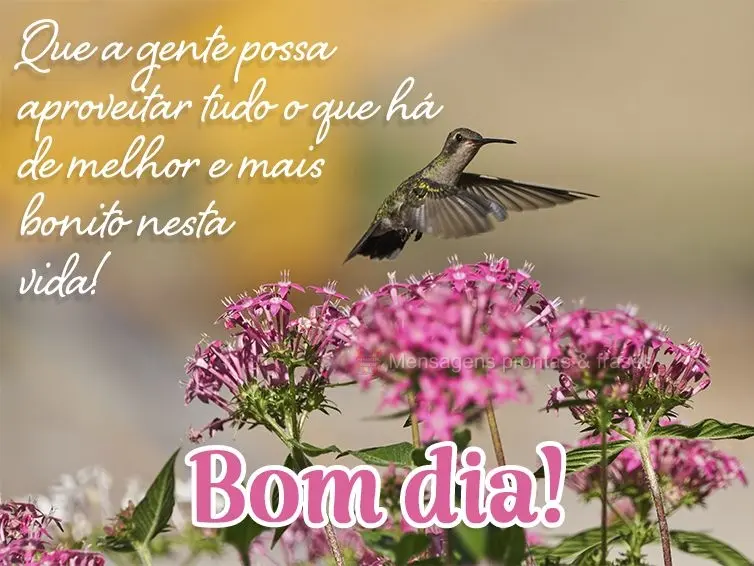 Que a gente possa aproveitar tudo o que há de melhor e mais bonito nesta vida! Bom dia!